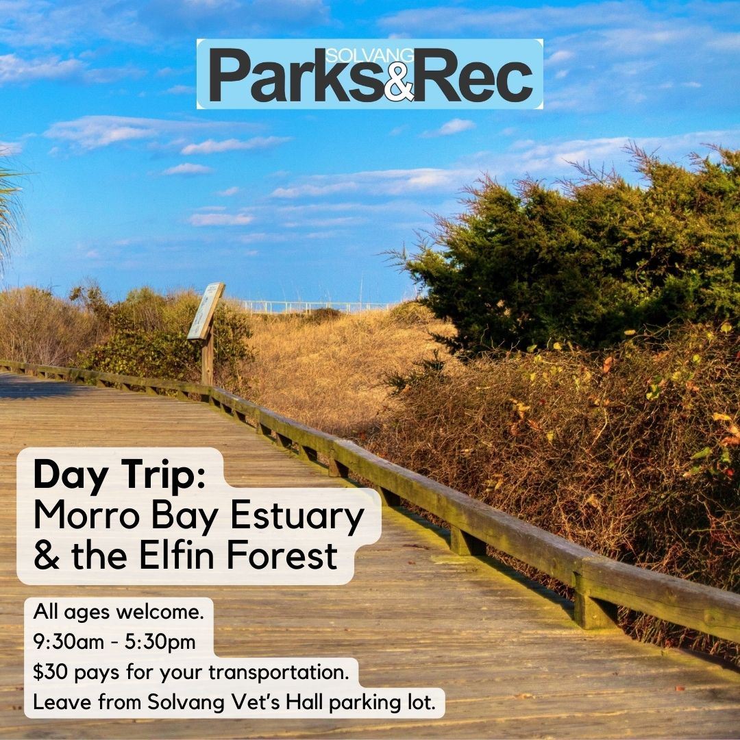 Day Trip. Morro Bay 24