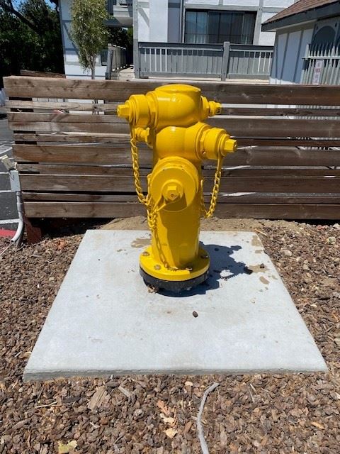 New Hydrant